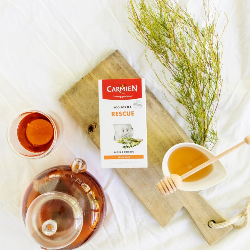 Rich Rooibos tea and herbal blend from Carmién Tea in elegant glassware, served with fresh Rooibos branches, highlighting natural South African ingredients and wellness benefits.