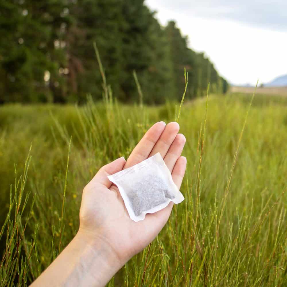 Hand holding a Rooibos tea bag outdoors in a lush green field, highlighting the natural and organic qualities of Carmién Tea's pure Rooibos tea.