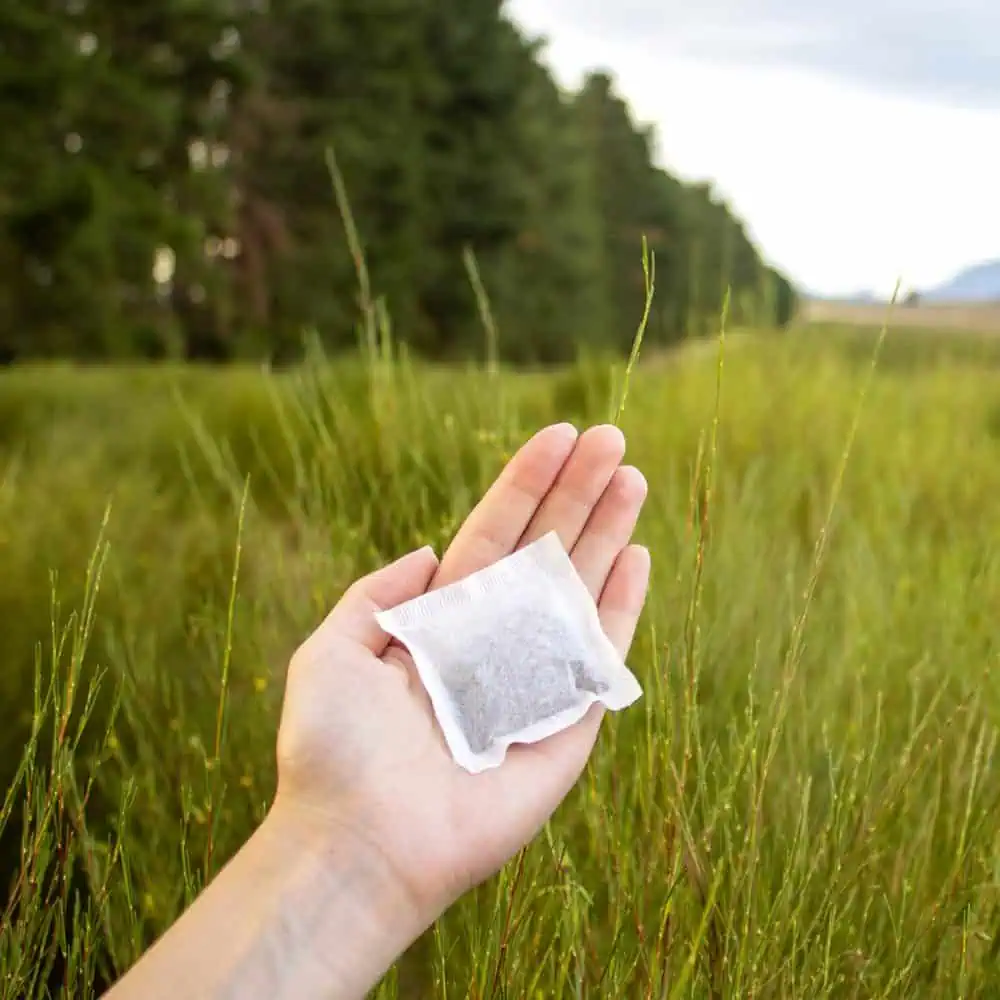 Hand holding a Rooibos tea bag outdoors in a lush green field, highlighting the natural and organic qualities of Carmién Tea's pure Rooibos tea.