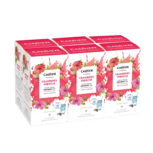 Cranberry Hibiscus Cold Brew Tea Multi-Pack (6 x 20 Teabags)