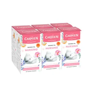 Nursing Tea Multi-Pack (6 x 40 Teabags)