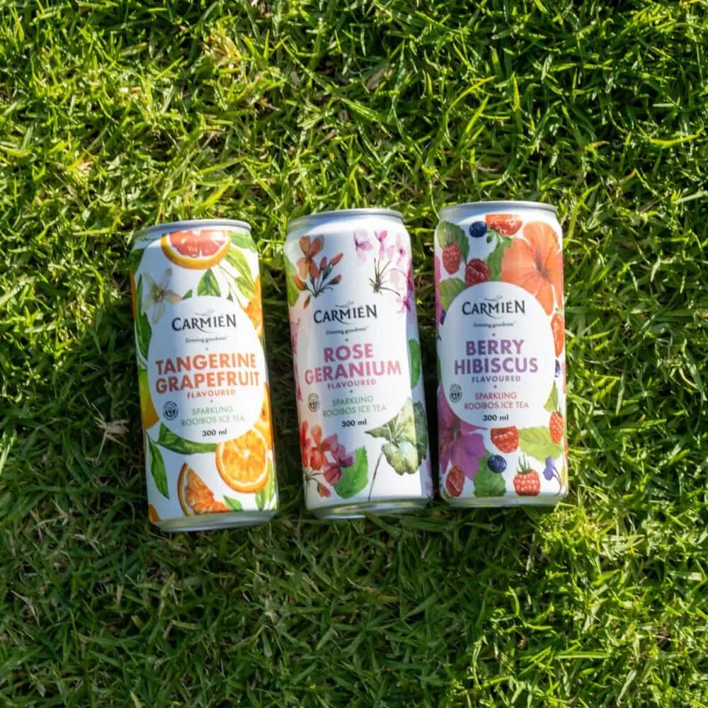 Refreshing Tangerine & Fruit Sparkling Ice Tea in 300ml can. Perfect for a cool, revitalizing drink with natural flavors from Carmién Tea.