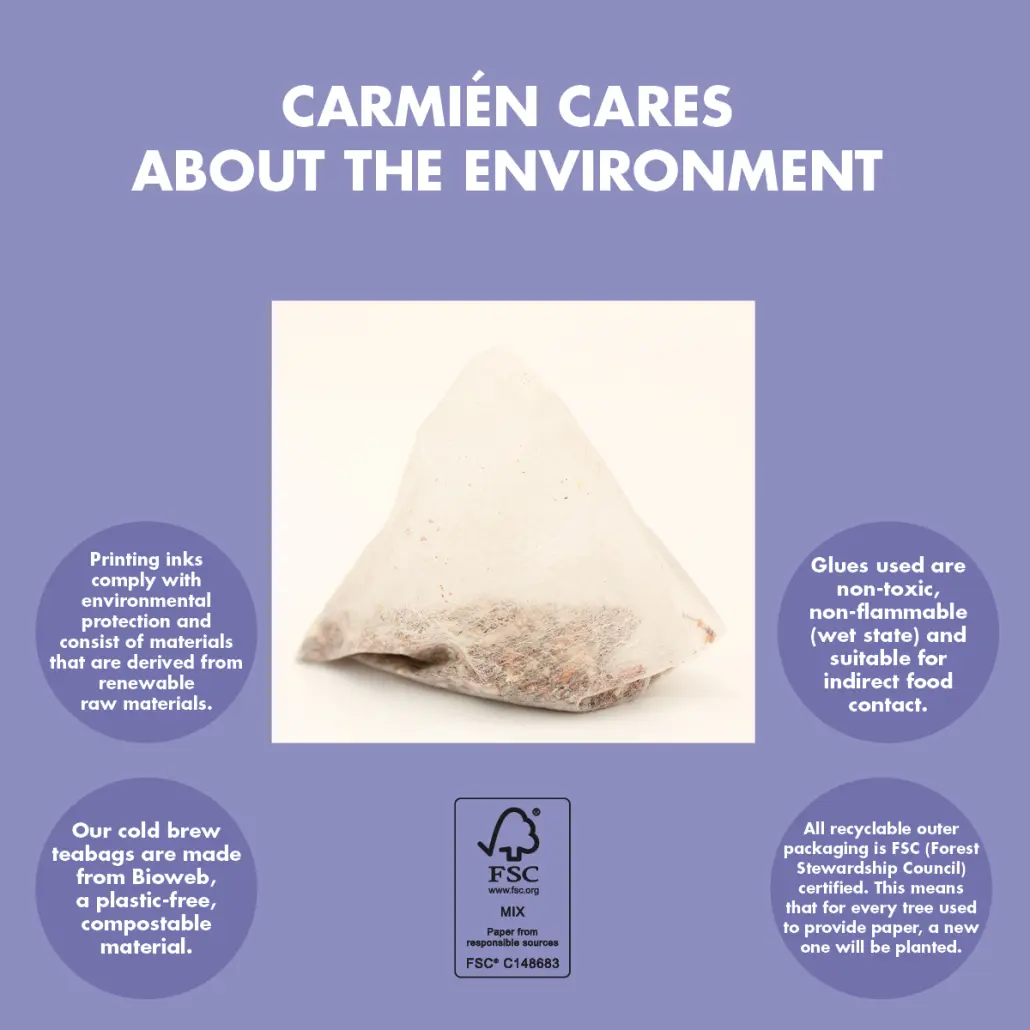 Apple Blueberry Kiddies Cold Brew Tea (20 Teabags) - Image 9