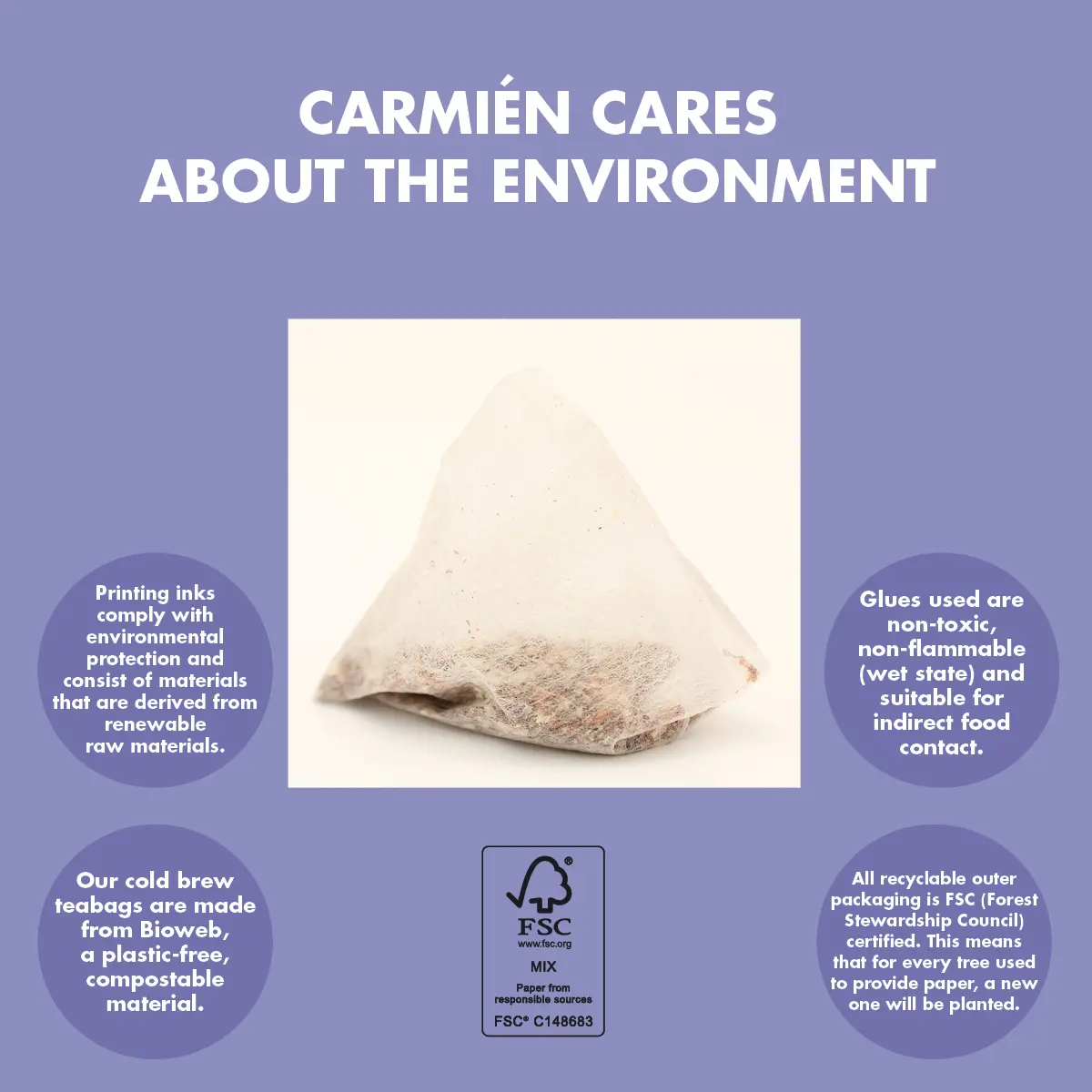 Apple Blueberry Kiddies Cold Brew Tea Multi-Pack (6 x 20 Teabags) - Image 8