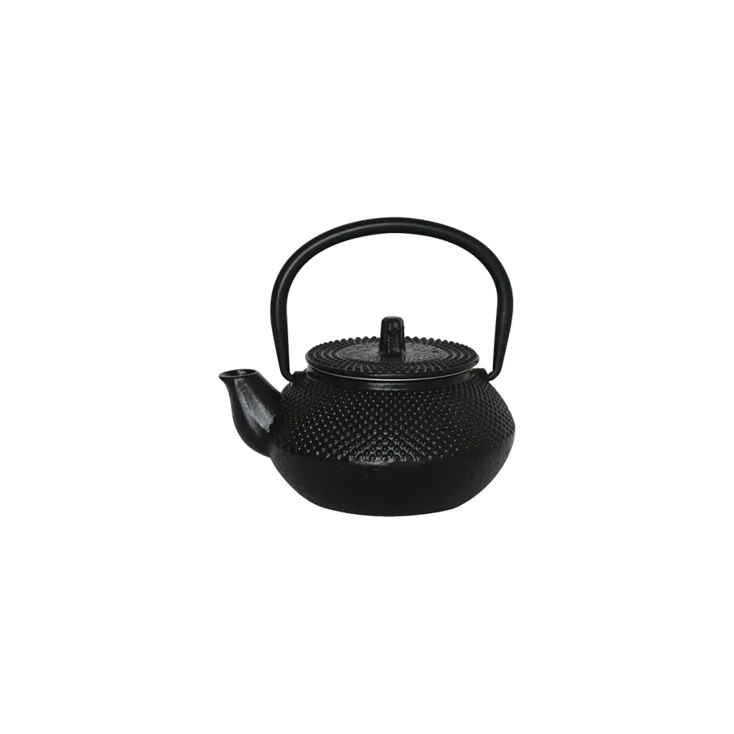 Cast Iron Teapot - Black (300ml)