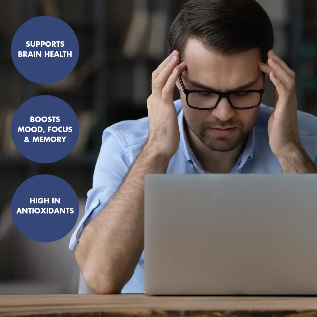 Brain with Lion's Mane, Ginkgo Biloba and Ginseng (20 Teabags) - Image 2