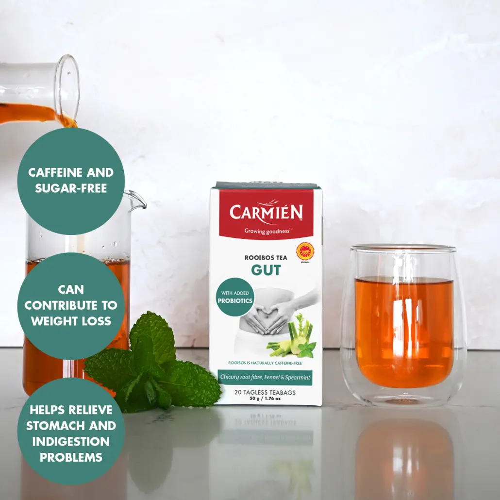 Gut with Probiotics and Chicory Root Fibre (20 Teabags) - Image 4