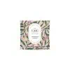 Ginger Lemongrass Tea - Carmién Tea Collection Delicious Ginger Lemongrass herbal tea in eco-friendly pyramid teabags, crafted with natural ingredients for a soothing, aromatic experience. Perfect for wellness and relaxation.