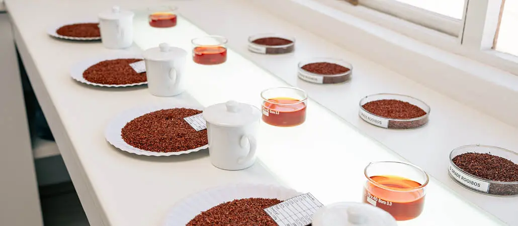 Various cuts of rooibos tea are laid out for grading and testing
