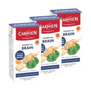 Combo Deal Brain with Ginkgo Biloba, Gotu Kola, and Ginseng (3 x 20 Teabags)