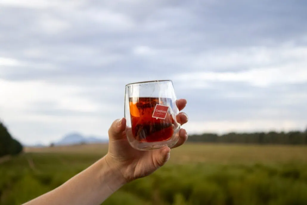 Rich, herbal Carmién Tea in a clear glass held outdoors against a scenic landscape with a cloudy sky, highlighting natural ingredients and traditional South African tea culture.