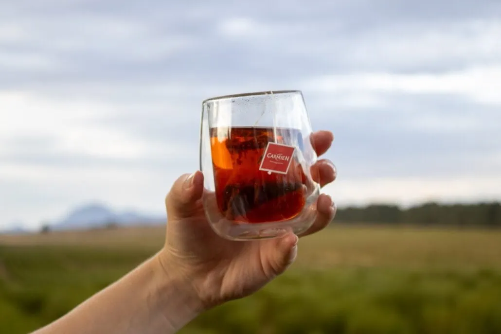 Hand holding a glass of Carmién Rooibos tea outdoors with a scenic landscape in the background, showcasing the natural and healthy qualities of South African herbal tea.