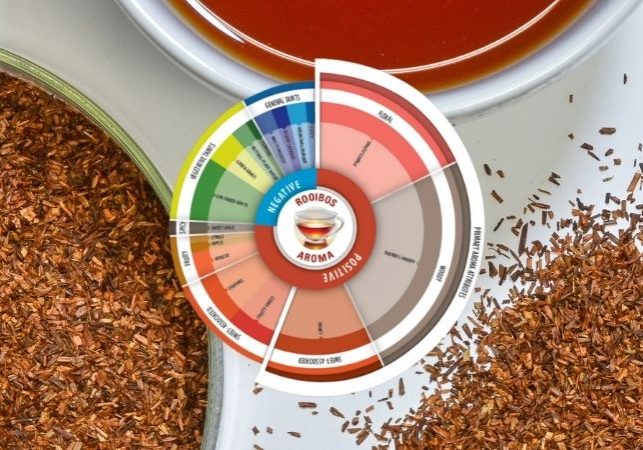 Sensory Wheel