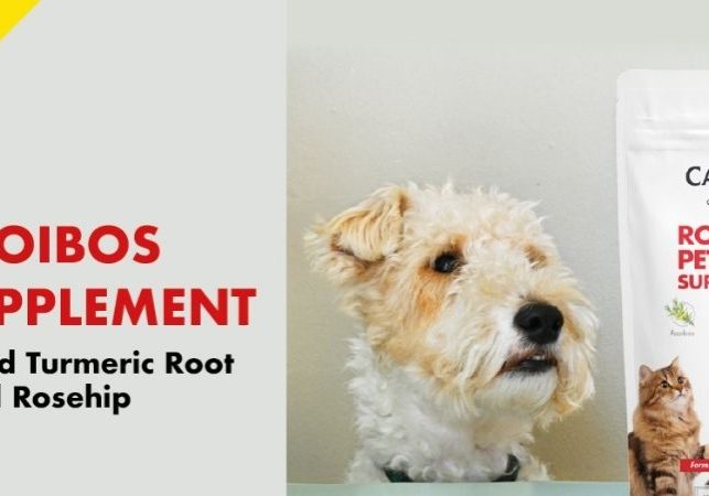 Pet Food