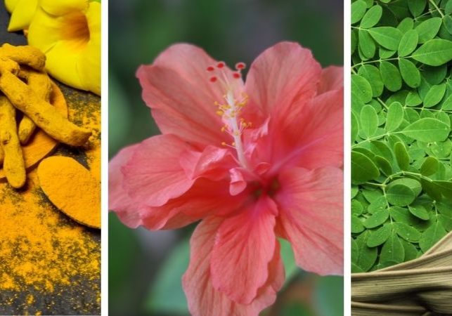 Tea Trends